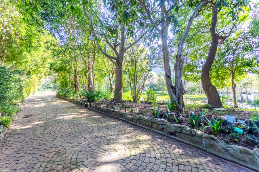 0 Bedroom Property for Sale in Bishopscourt Western Cape